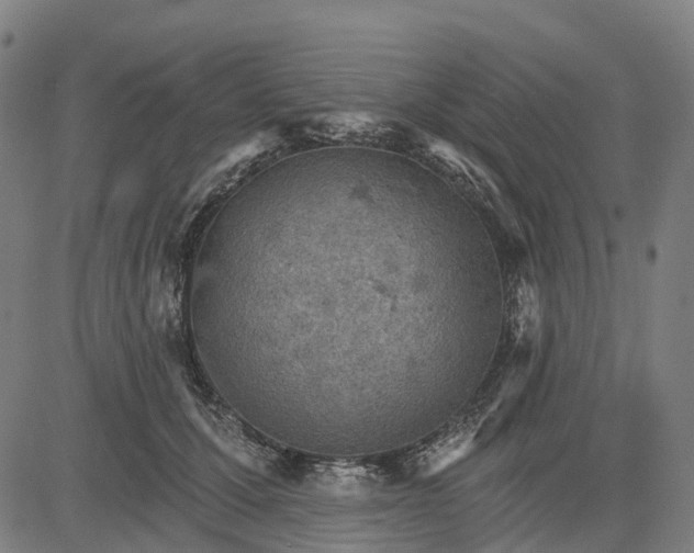 X0000084540607200703091655