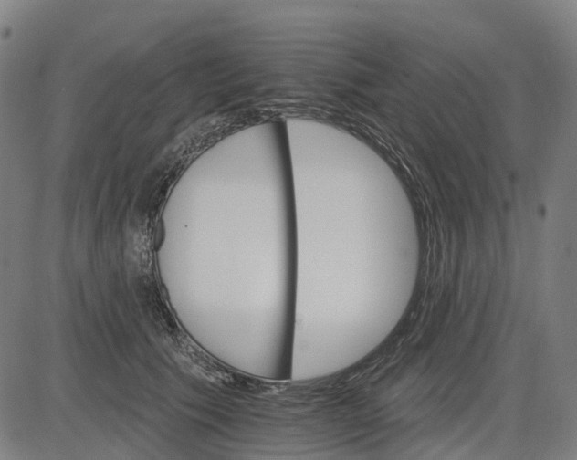 X0000084540609200703091655