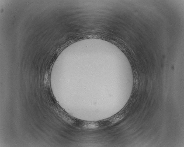 X0000084540610200703091655