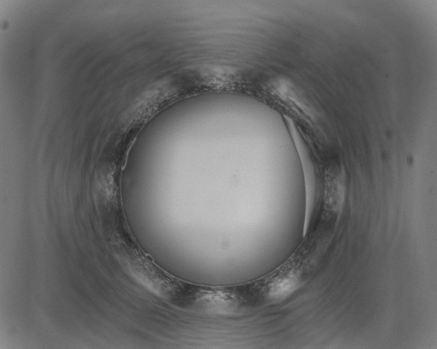 X0000084540611200703091655