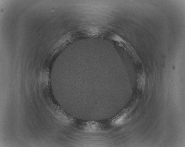 X0000084540612200703091655