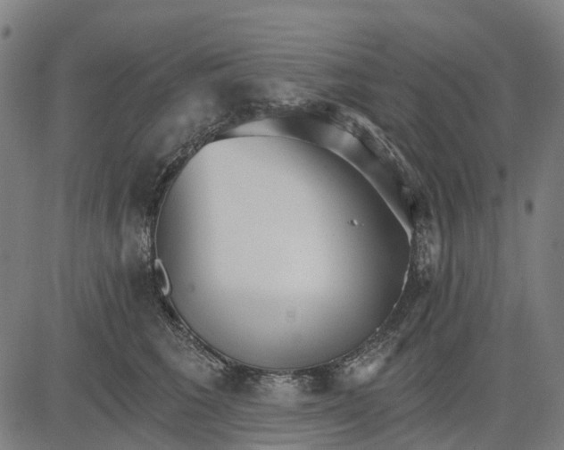 X0000084540613200703091655