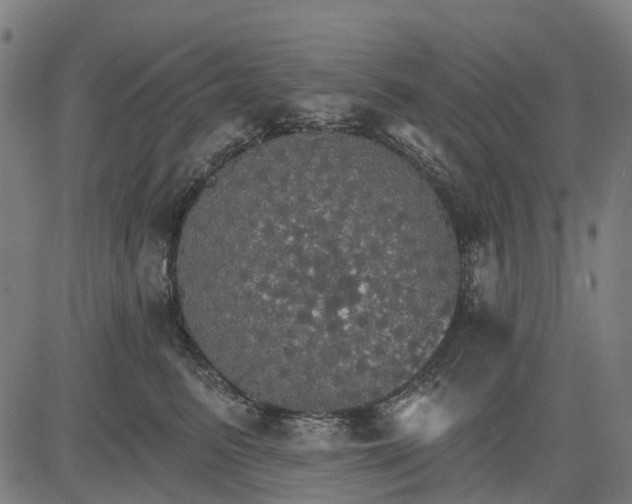 X0000084540615200703091655