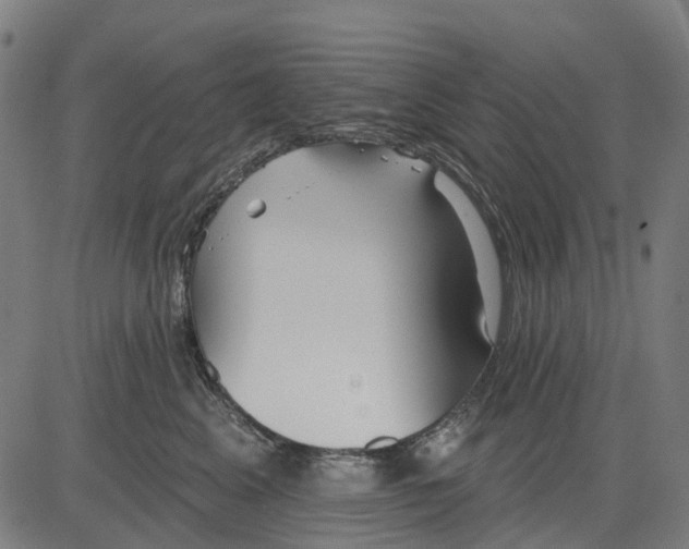 X0000084540617200703091655