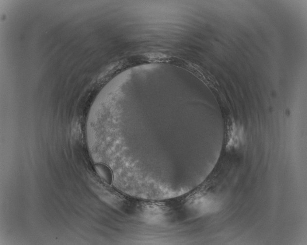 X0000084540618200703091655