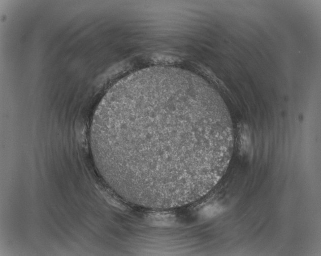 X0000084540619200703091655