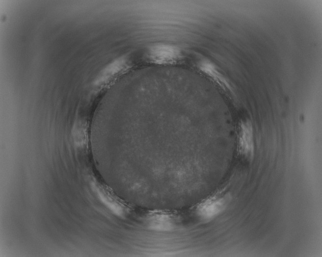 X0000084540620200703091655