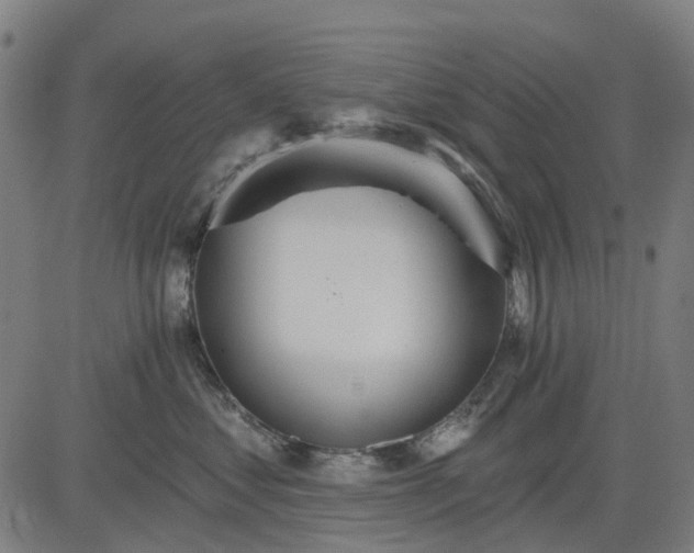 X0000084540621200703091655