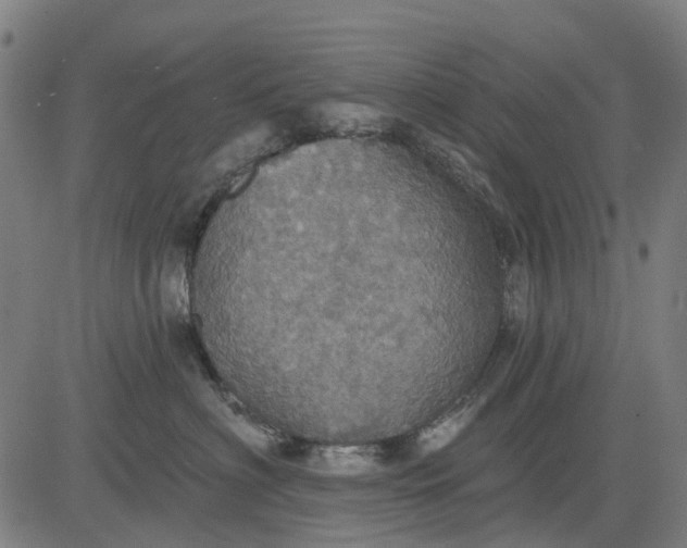 X0000084540622200703091655