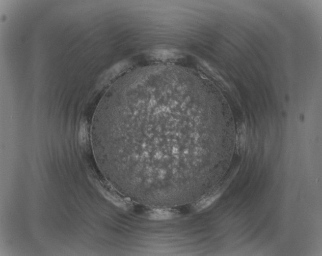 X0000084540623200703091655