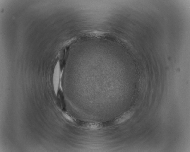 X0000084540624200703091655