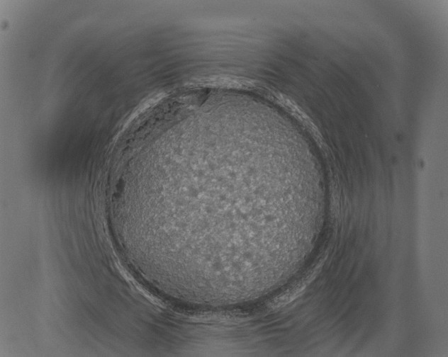 X0000084540625200703091654