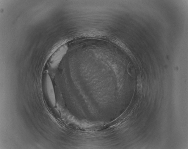 X0000084540626200703091654