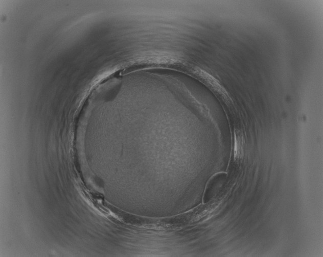 X0000084540627200703091654