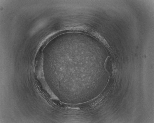 X0000084540628200703091654