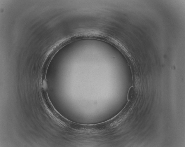 X0000084540629200703091654