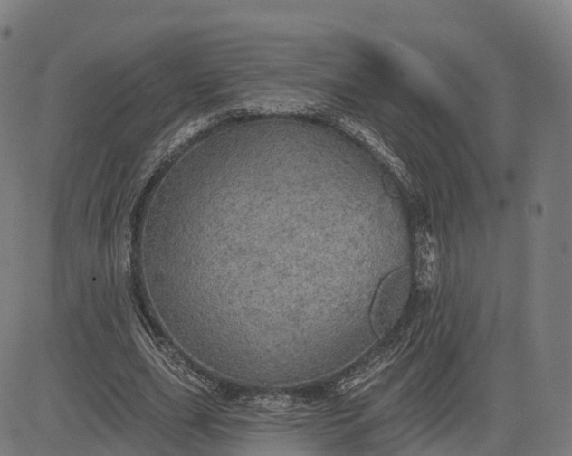 X0000084540631200703091654