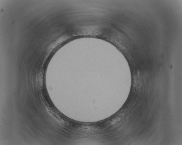 X0000084540632200703091654