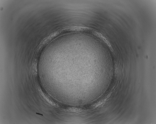 X0000084540633200703091654