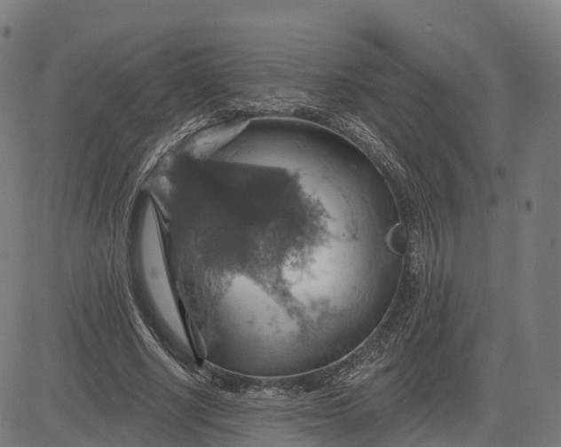 X0000084540634200703091654