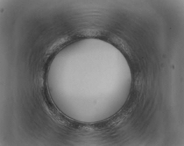 X0000084540635200703091654