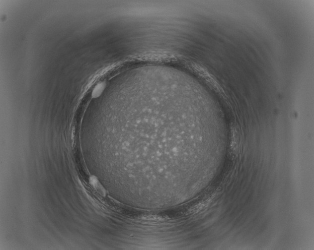 X0000084540636200703091654