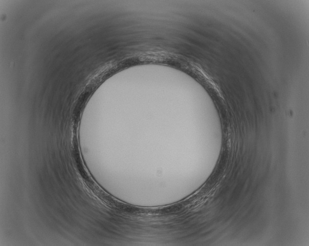 X0000084540637200703091655