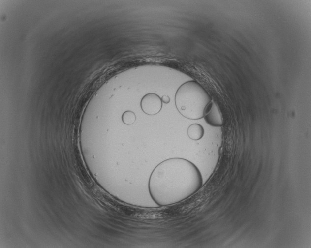 X0000084540639200703091655