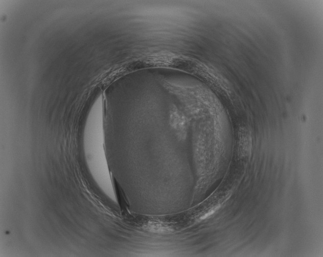 X0000084540641200703091655