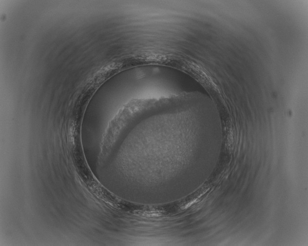 X0000084540643200703091655