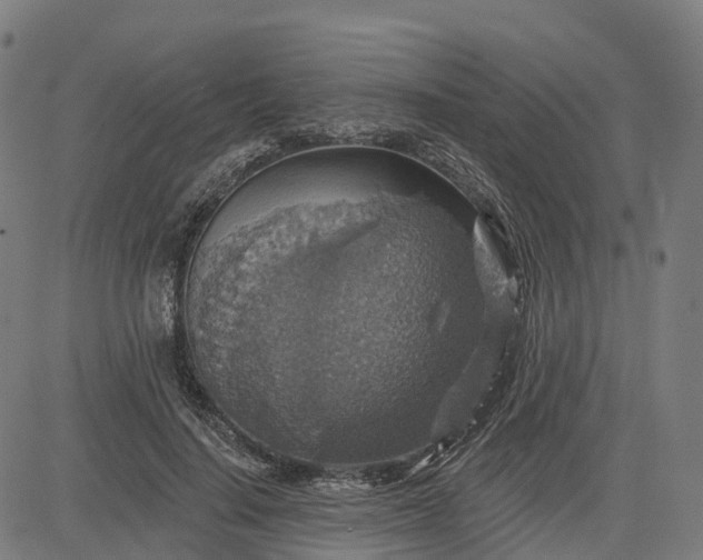 X0000084540644200703091655