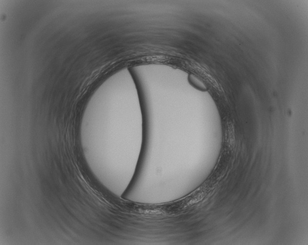 X0000084540645200703091655