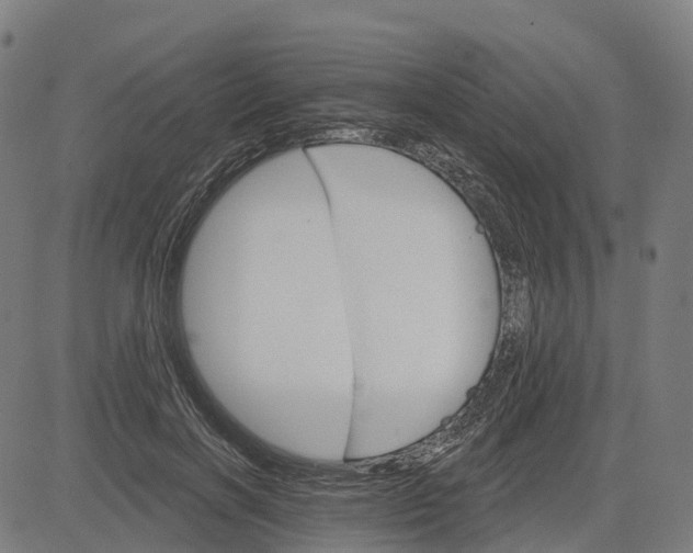 X0000084540646200703091655