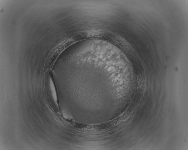 X0000084540648200703091655