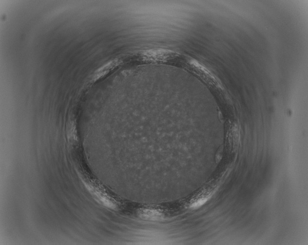 X0000084540649200703091655