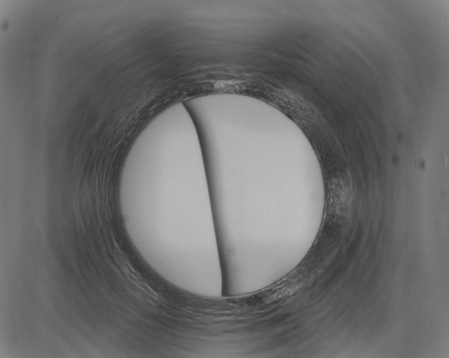 X0000084540650200703091655