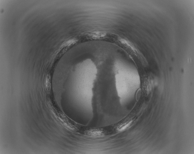 X0000084540651200703091655