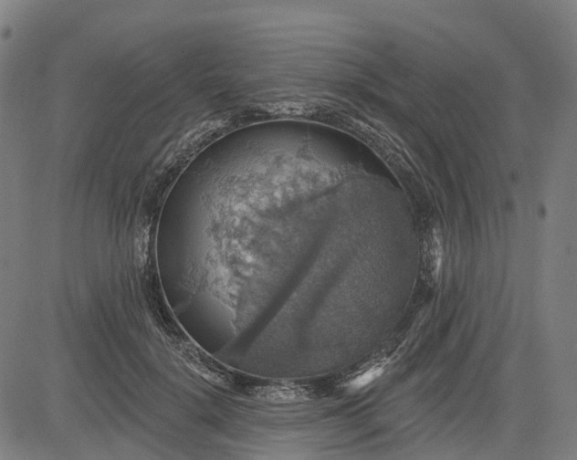 X0000084540652200703091655