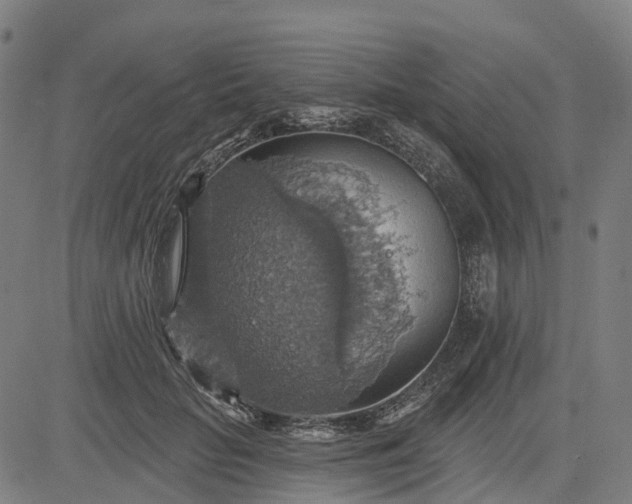 X0000084540653200703091655