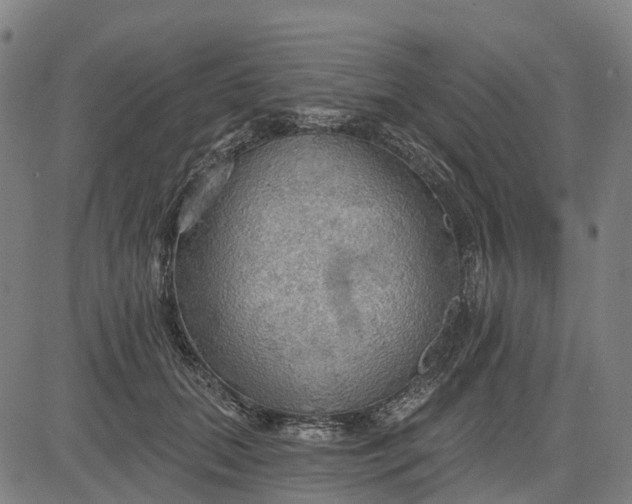 X0000084540655200703091655