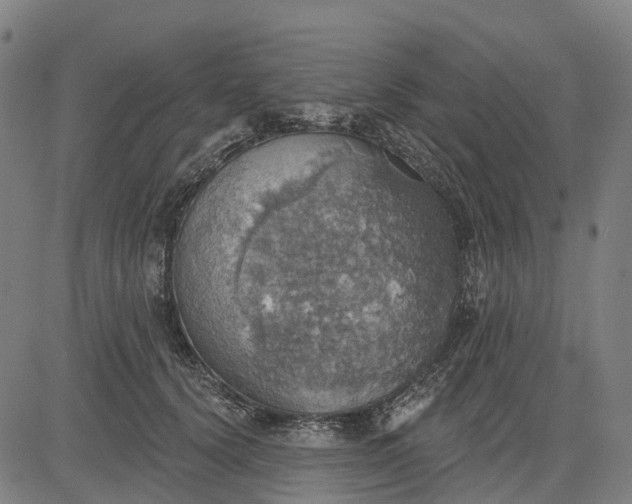 X0000084540656200703091655