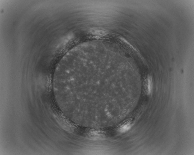 X0000084540657200703091655