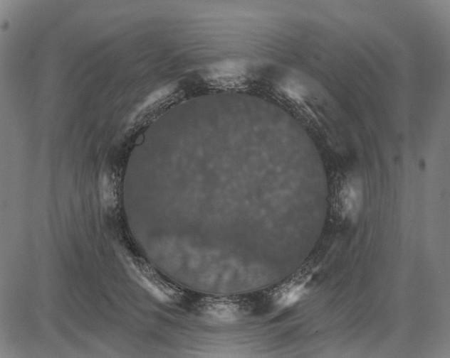 X0000084540658200703091655