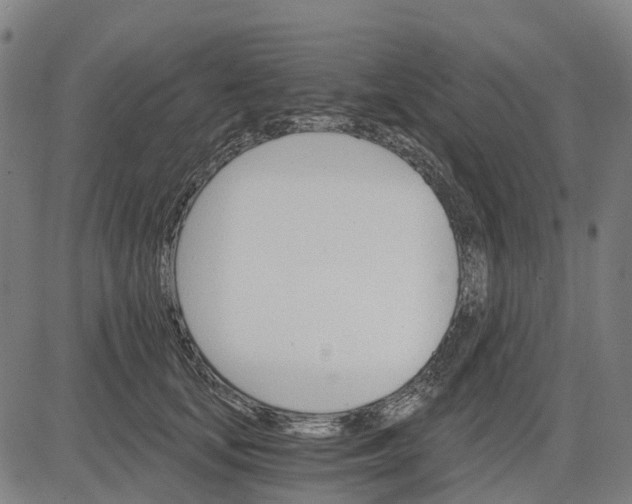 X0000084540659200703091655