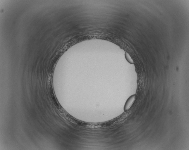 X0000084540660200703091655