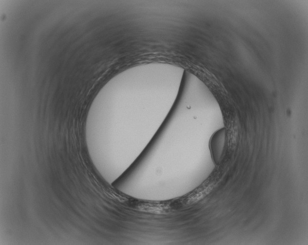 X0000084540661200703091655