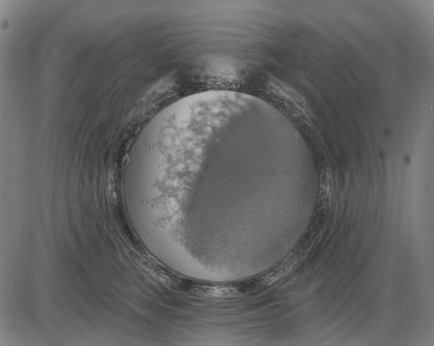 X0000084540663200703091655