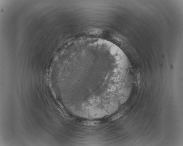 X0000084540664200703091655