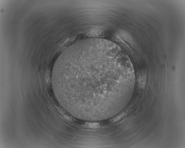 X0000084540665200703091655