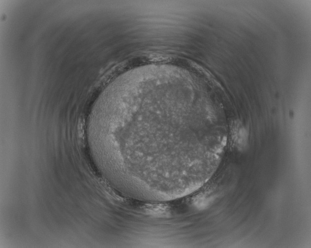 X0000084540667200703091655